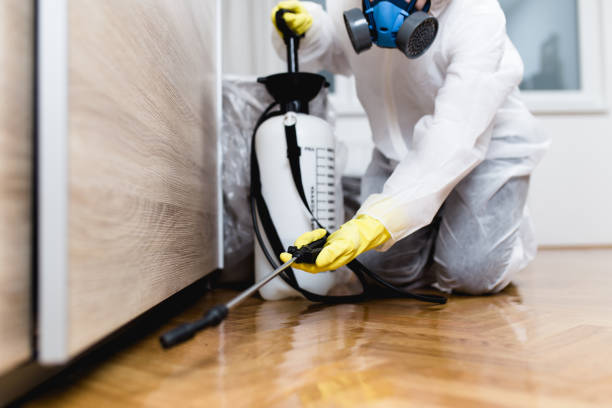 Trusted Glendale, CO Pest Control Experts