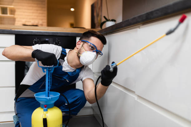 Best Insect Control  in Glendale, CO