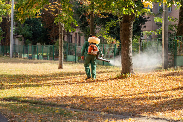 Professional Pest Control in Glendale, CO